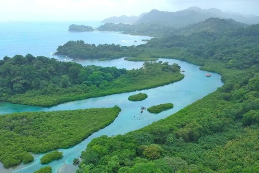 Portobelo: Un Viaje a Través de la Historia y sus Encantadoras Venas Azules